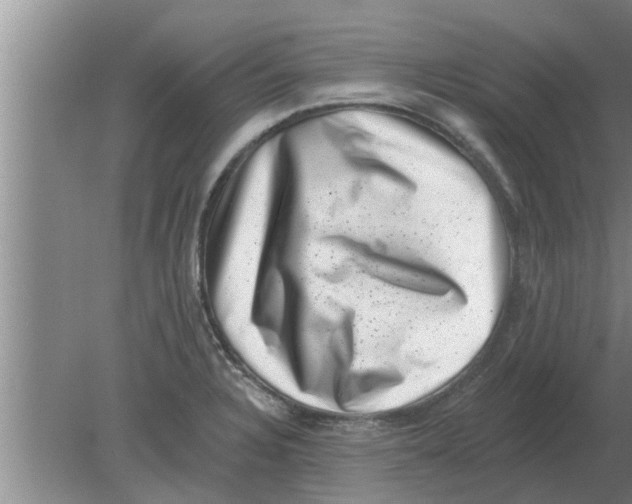 X0000080181328200612302235