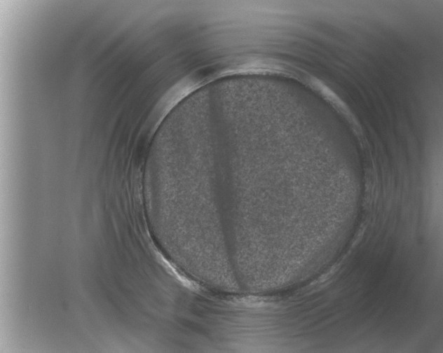 X0000080181329200612302235