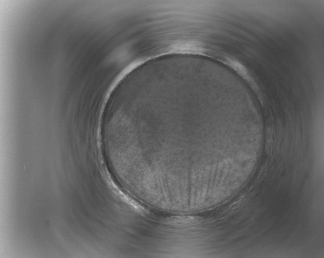 X0000080181331200612302235