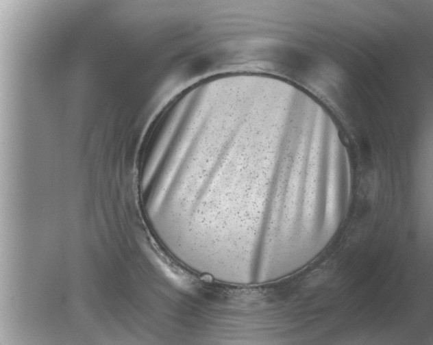 X0000080181332200612302235