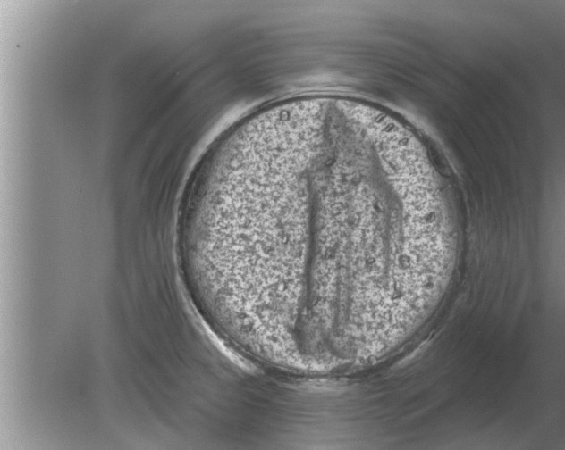 X0000080181333200612302235