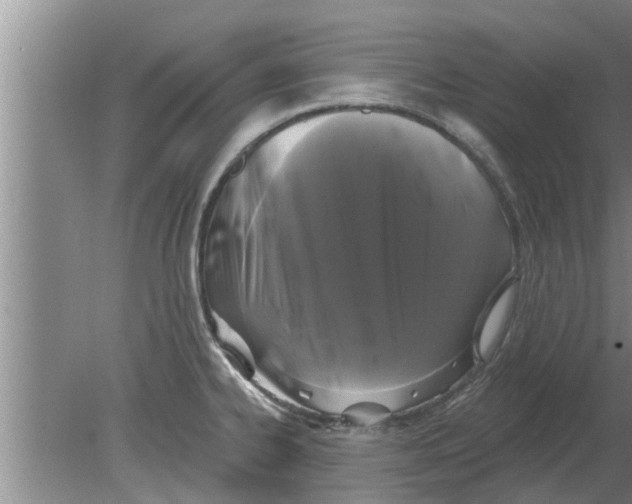 X0000080181334200612302235