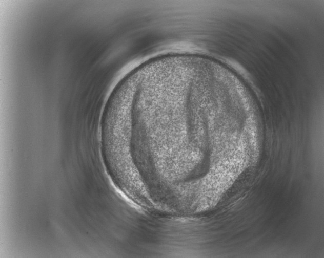 X0000080181335200612302235