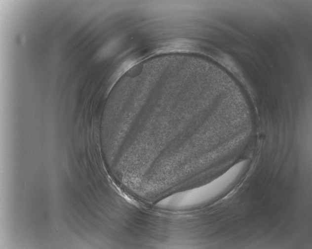 X0000080181337200612302235