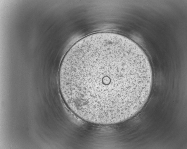 X0000080181338200612302235