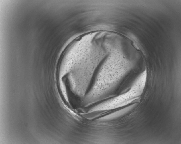 X0000080181339200612302235