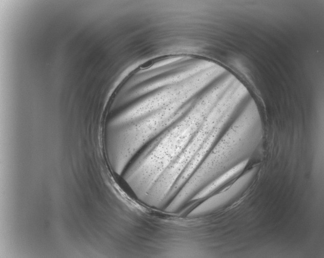 X0000080181340200612302235