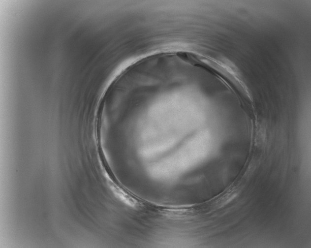 X0000080181342200612302235