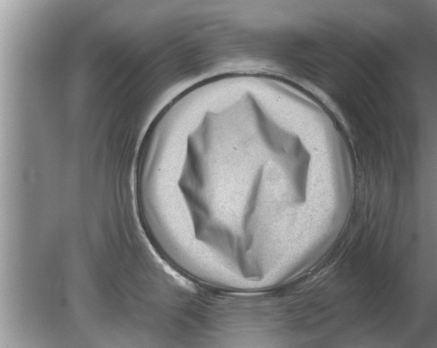 X0000080181343200612302235