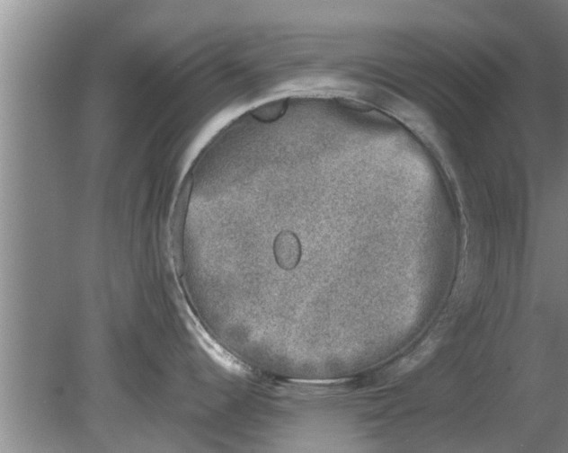 X0000080181344200612302235