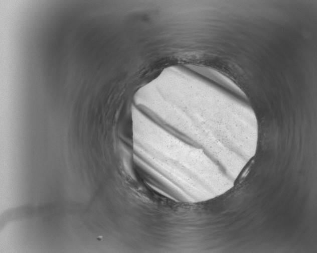 X0000080181345200612302234