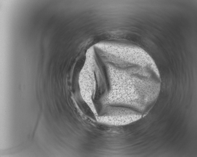 X0000080181346200612302234