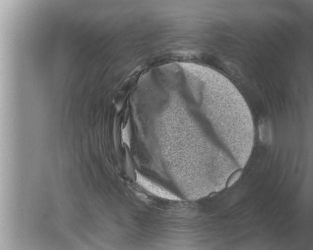 X0000080181347200612302234