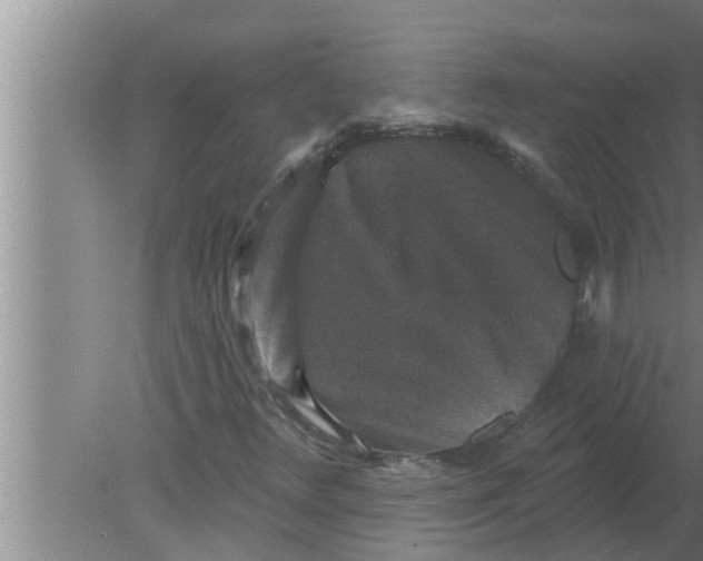 X0000080181348200612302234