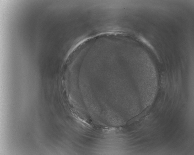 X0000080181352200612302234