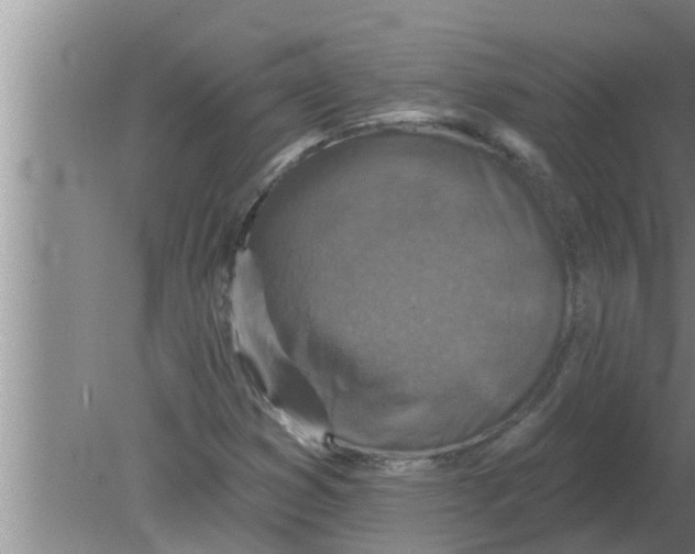 X0000080181353200612302234