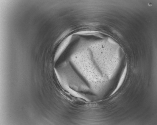 X0000080181354200612302234