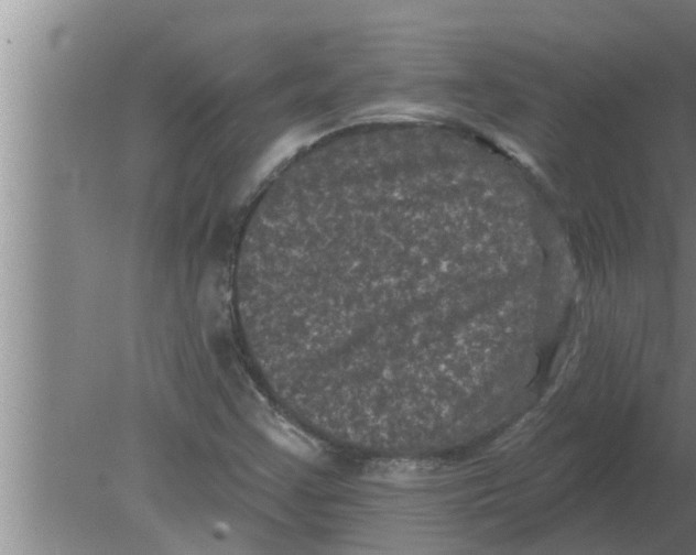 X0000080181355200612302234