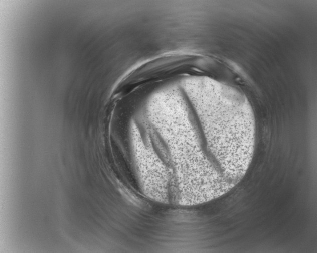 X0000080181356200612302234