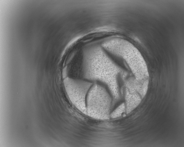 X0000080181358200612302234