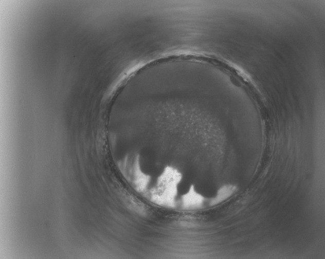 X0000080181359200612302234