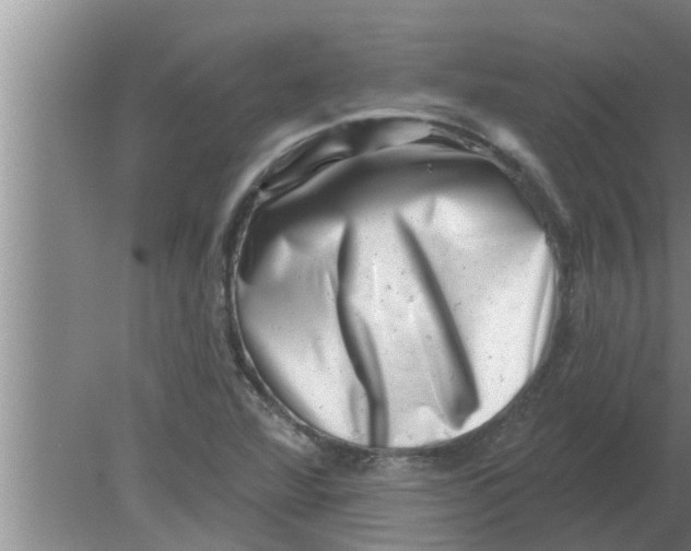 X0000080181360200612302234