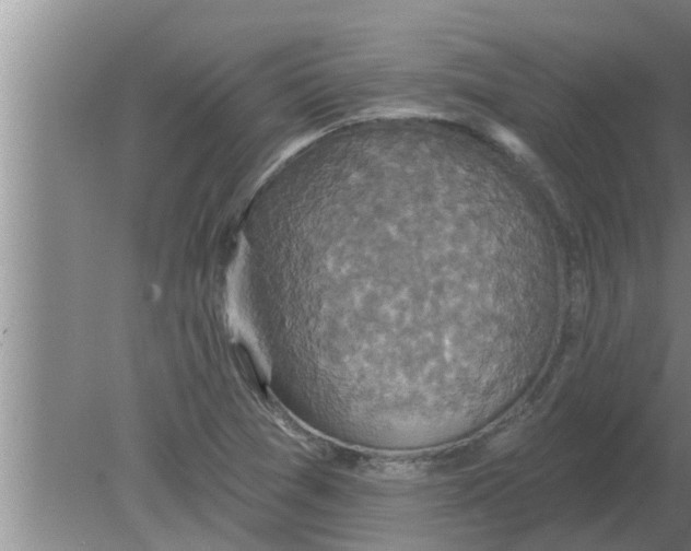 X0000080181361200612302234