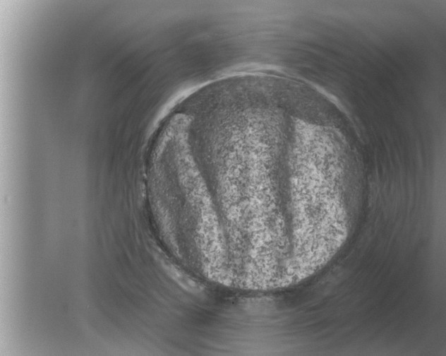 X0000080181363200612302234