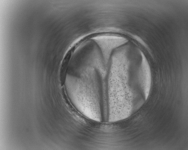 X0000080181364200612302234