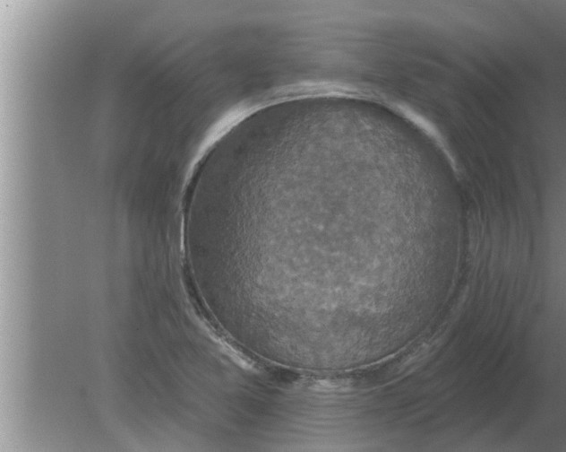 X0000080181365200612302234