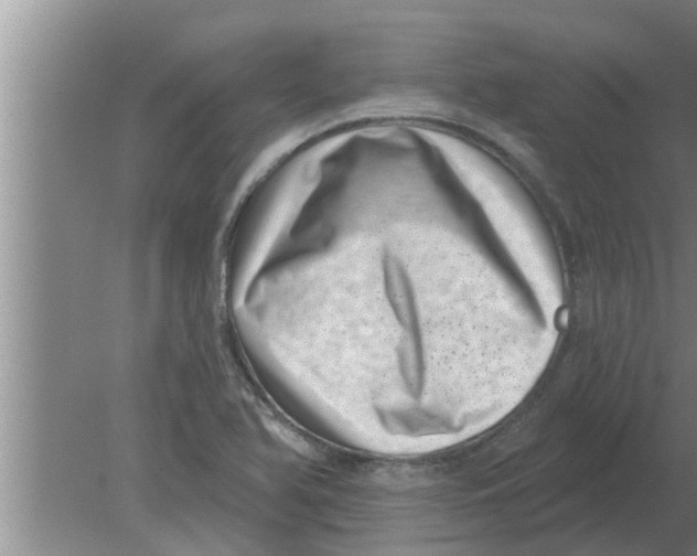 X0000080181366200612302234