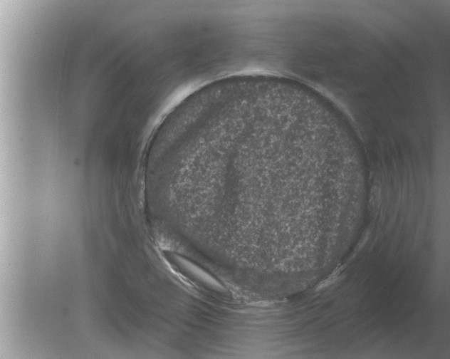 X0000080181367200612302234