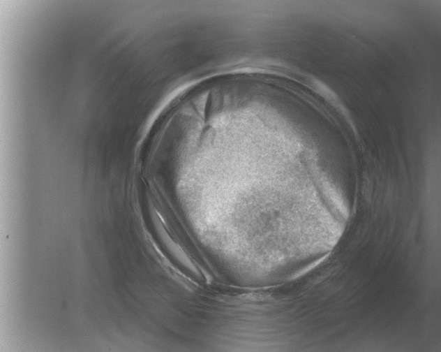 X0000080181368200612302234