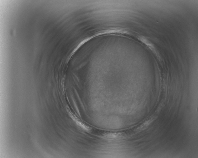 X0000080181369200612302234