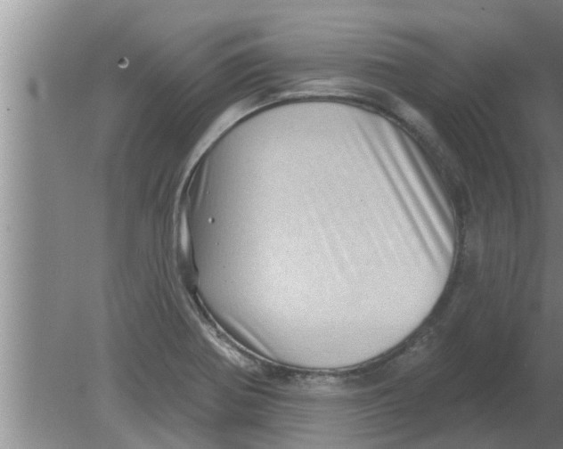 X0000080181370200612302234