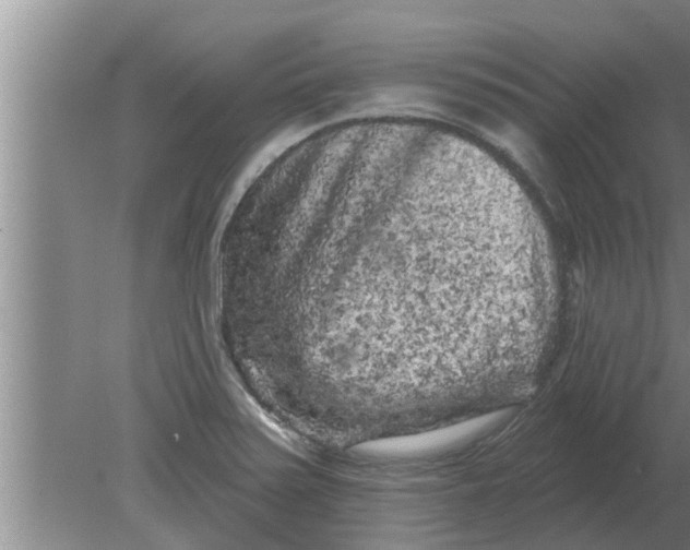 X0000080181371200612302234