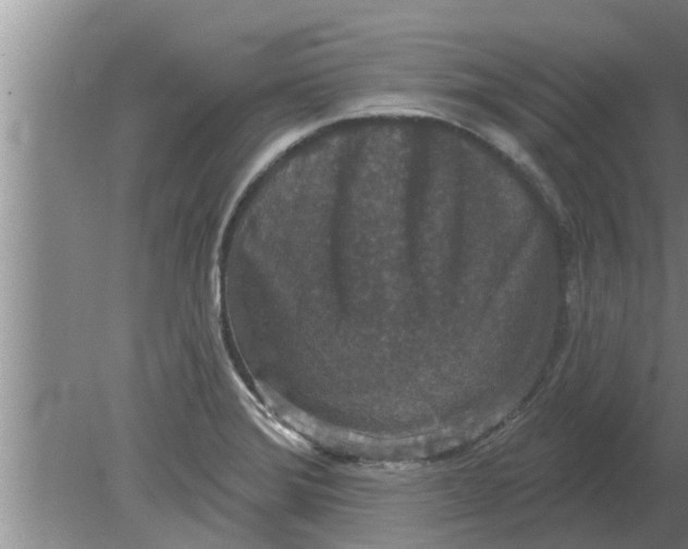 X0000080181372200612302234