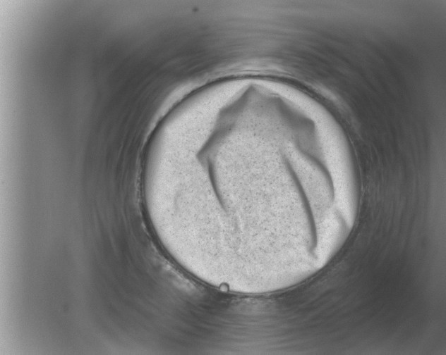 X0000080181374200612302234