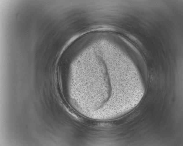 X0000080181375200612302234