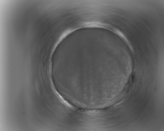 X0000080181376200612302234