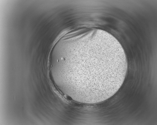 X0000080181378200612302234