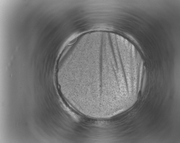 X0000080181379200612302234