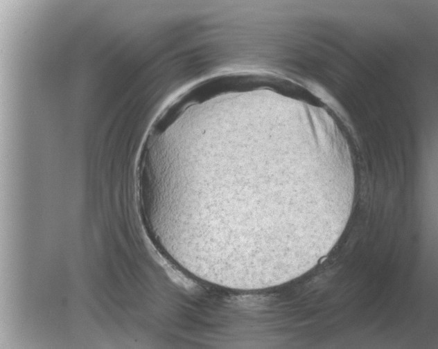 X0000080181380200612302234