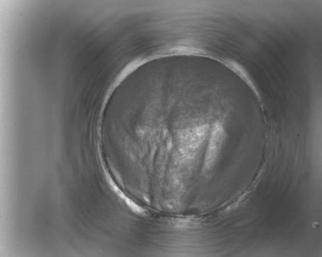 X0000080181381200612302234