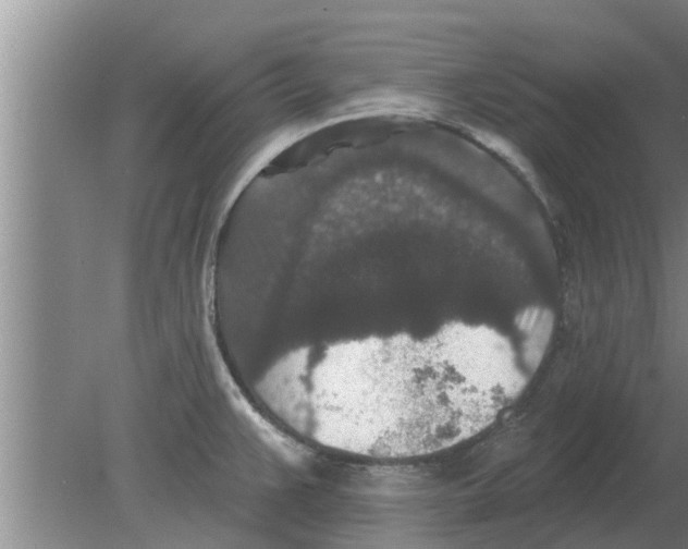 X0000080181383200612302234