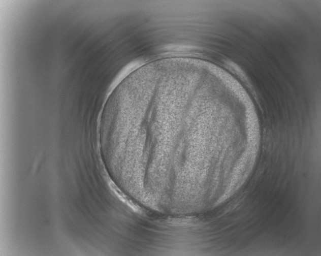 X0000080181386200612302234