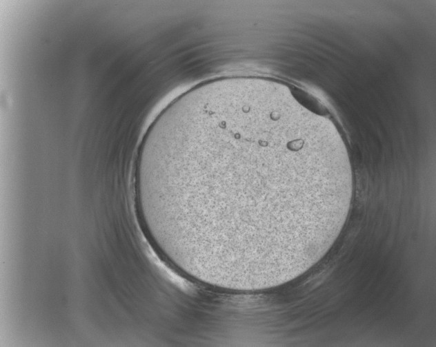 X0000080181387200612302234