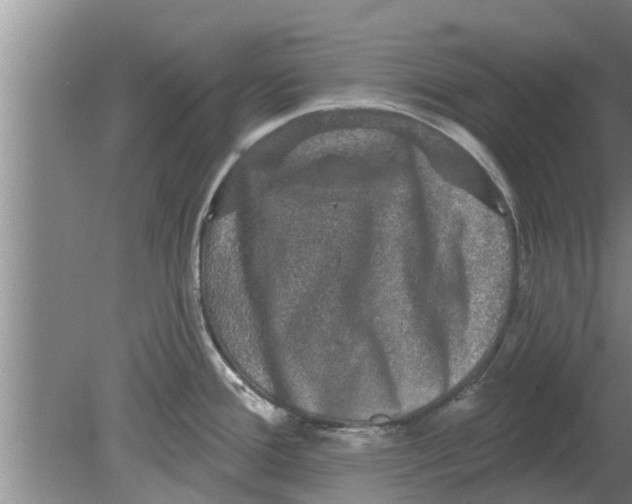 X0000080181388200612302234