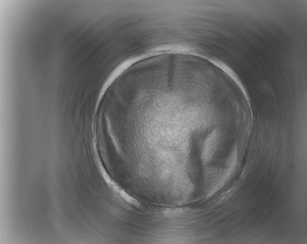 X0000080181389200612302234