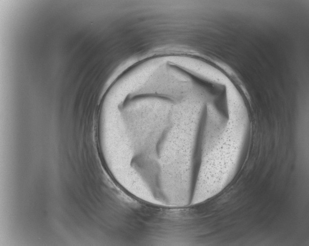 X0000080181390200612302234